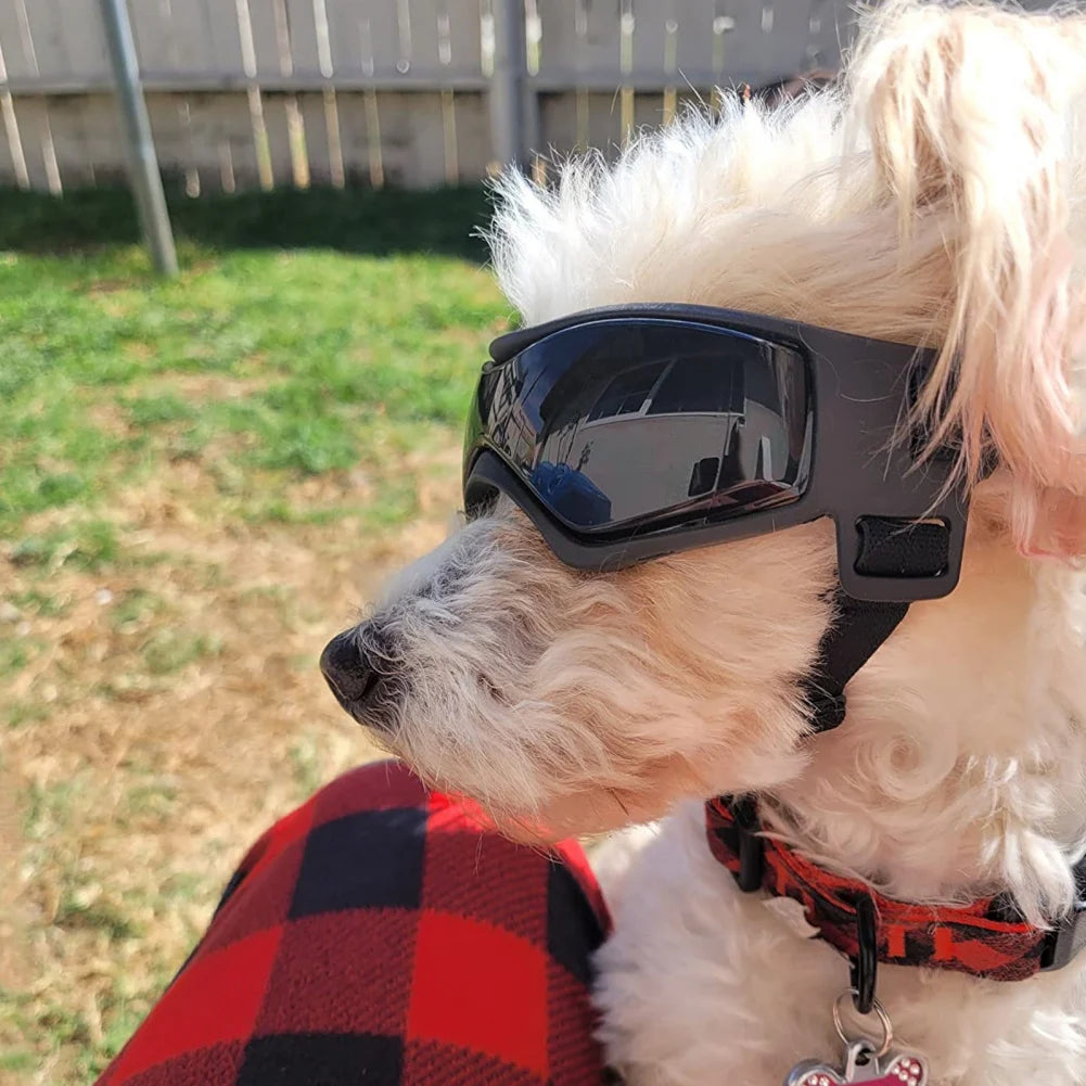 oldway-pet-uv-protection-sunglasses-dog-cat-goggles.jpg