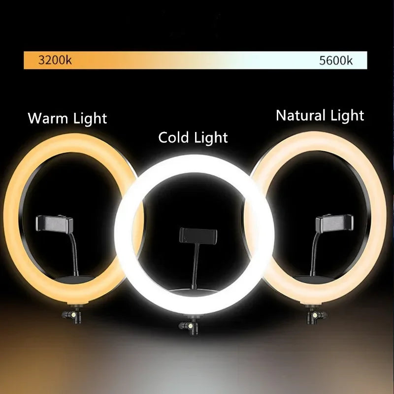 12 Inch Ring Fill Light, Mobile Phone Beauty Light, Live Broadcast Light