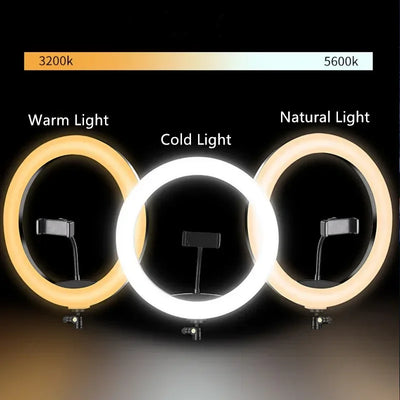 12 Inch Ring Fill Light, Mobile Phone Beauty Light, Live Broadcast Light