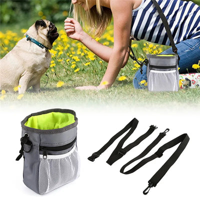 dog-training-treat-pouch-crossbody-waist-bag.jpg