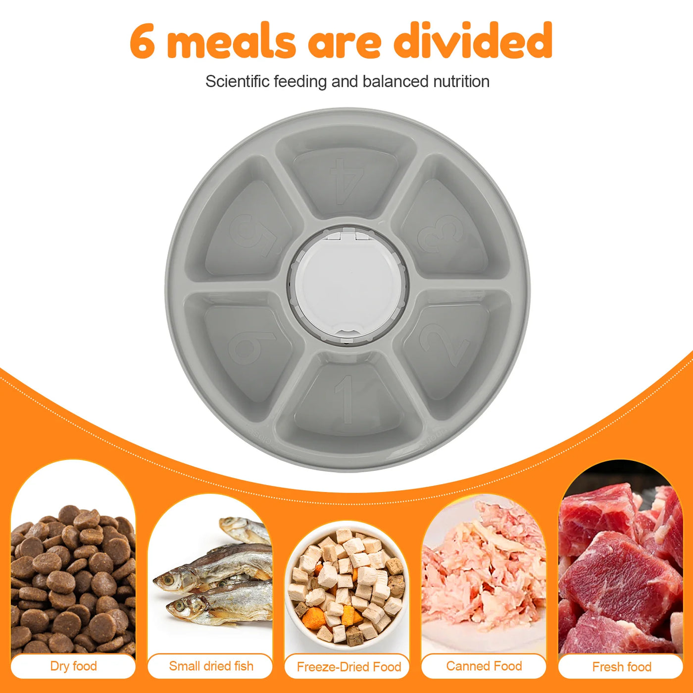 oldway-automatic-pet-feeder-6-meal-timer-dispenser.jpg