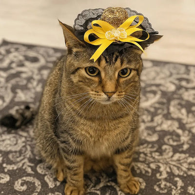 oldway-pet-halloween-hat-sequin-cat-cosplay.jpg
