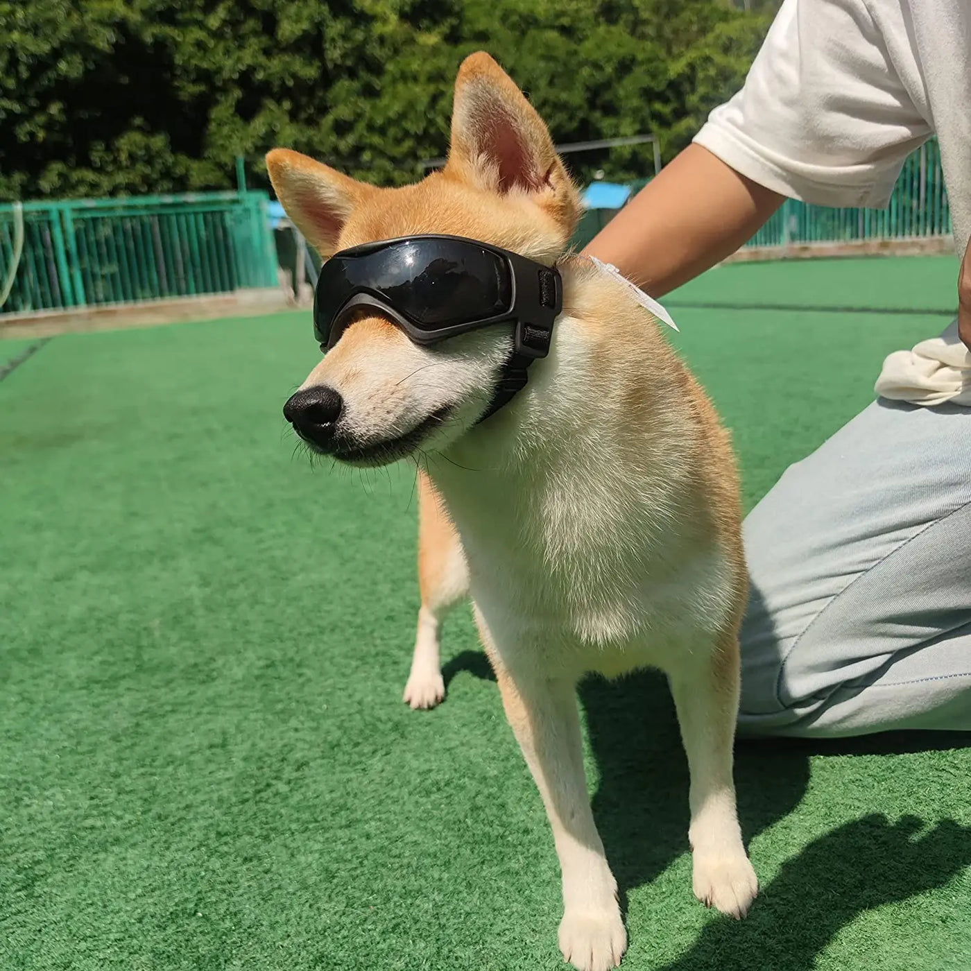 oldway-pet-uv-protection-sunglasses-dog-cat-goggles.jpg