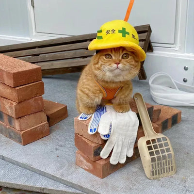 oldway-pet-safety-hat-halloween-cats-dogs.jpg