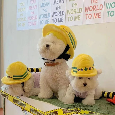 oldway-pet-safety-hat-halloween-cats-dogs.jpg