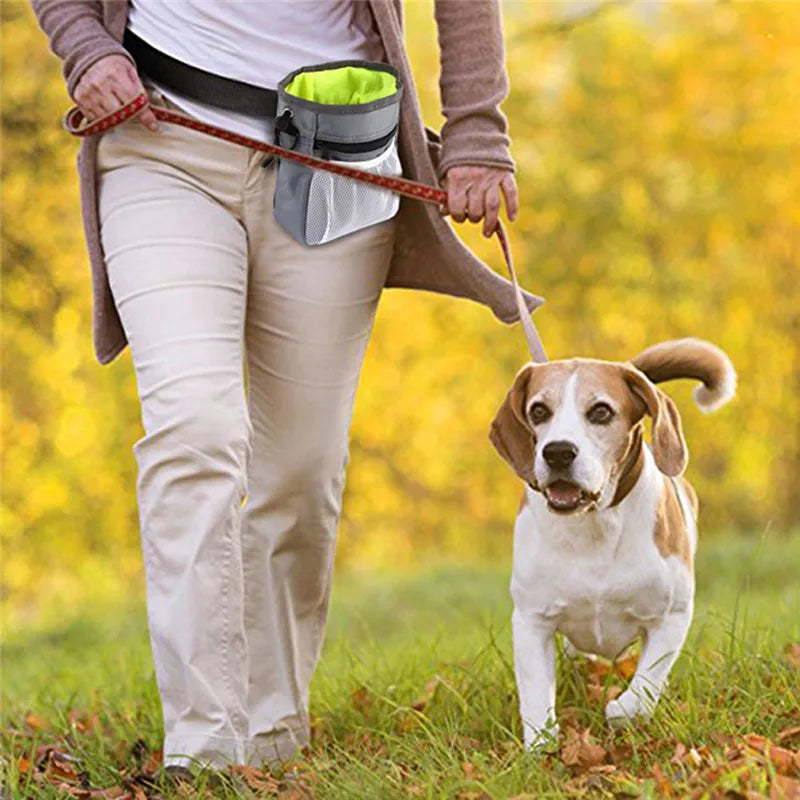 dog-training-treat-pouch-crossbody-waist-bag.jpg